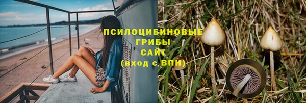 синтетический гашиш Алексеевка
