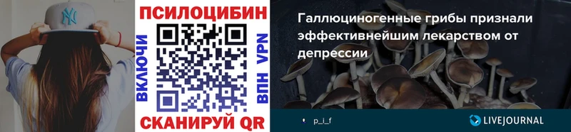 Галлюциногенные грибы Magic Shrooms  где найти   Бобров 